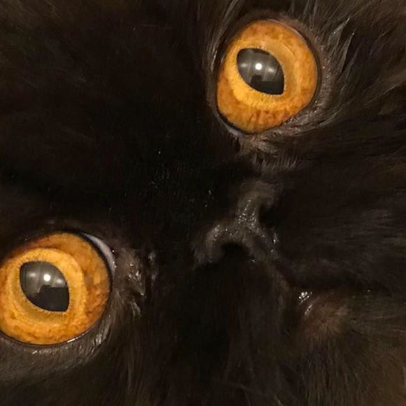 Meet your Posher, Kristin - Picture 1 of 1